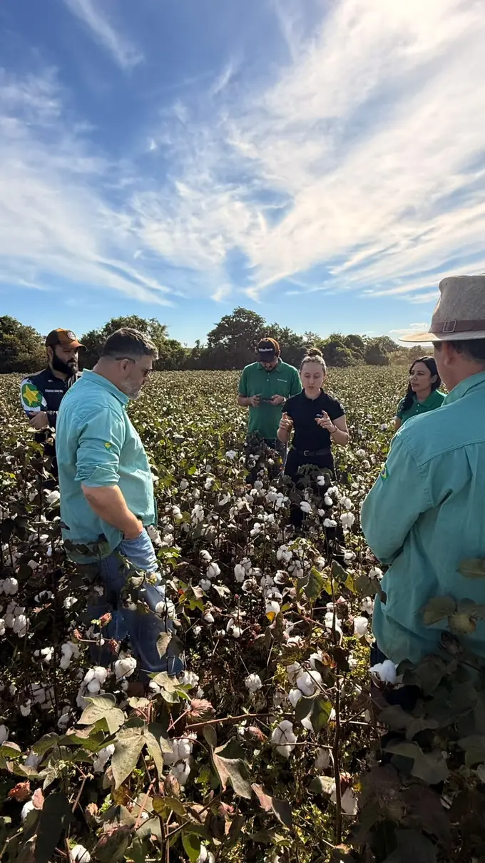 Vistoria técnica em campo — equipe Caçadores de Nematoides avaliando lavoura